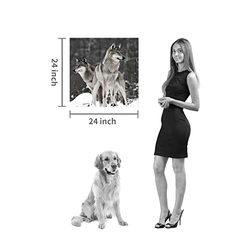 Wolf Artwork Canvas Wall Art: Wildlife Painting Pictures For Office Or Living Room Decoration (24'' X 24'') #TOP5