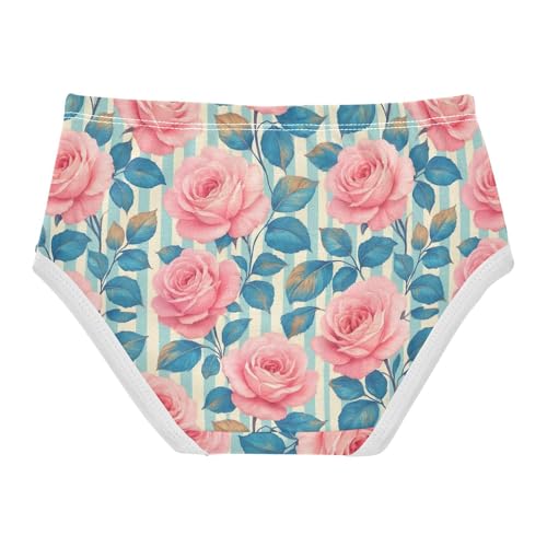 Joisal Toddler Girls Underwear 2t Cotton Cute Panties Girl Stylish Underpants Briefs Vintage Pink White Roses Blue2