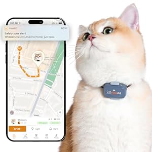 Pawfit Lite for Cats 4g GPS Tracker | Real Time Tracking | Activity Monitoring |Location History | Unlimited Range | Safety Collar Included | Lilac Grey