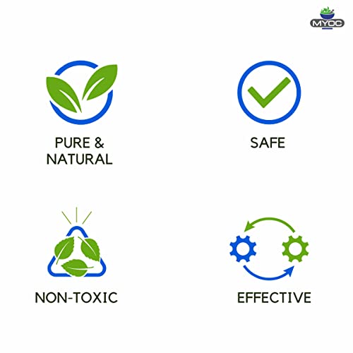 Myoc Licorice Extract – 60 Ml (2.02 Fl. Oz), Pure Licorice Extract Liquid, Licorice Extract For Skin, Licorice Extract For Serum, Licorice Extract For Face, Licorice Extract Liquid Bulk #TOP5