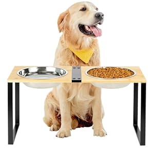 GUUSII HOME Porte Gamelle Chien Surélevée pour Grand Chien de Taille Moyenne Rehausseur Meuble Gamelle Gros Chiens avec 2 Bols en INOX Facile à Assembler Durable Support en Bambou (Couleur du Bois)