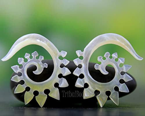 Gauge Stretcher Earrings MOP Shell 4G Organic Mother of Pearl Gauge Stretcher Earrings MOP Shell 4G Organic Mother of Pearl