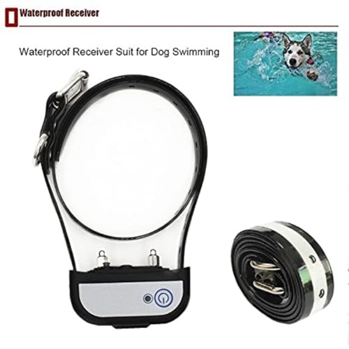 Utilisation du système de dressage électronique en extérieur