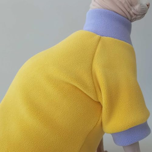 Vêtements hiver pour chat Sphynx pull violet chaud pour maison et sieste