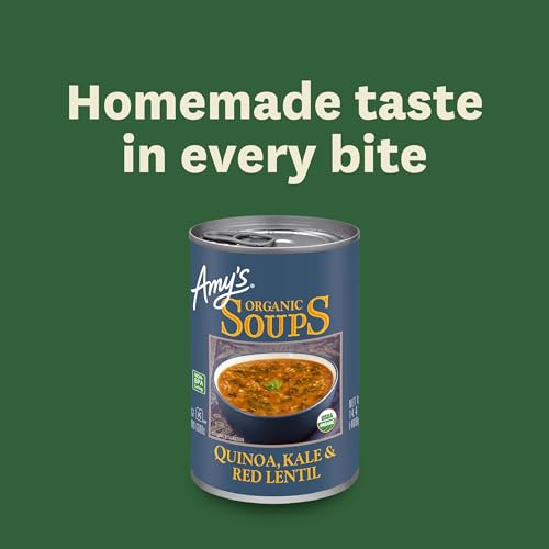 Amy's Soup, Vegan, Gluten Free, Organic Kale, Quinoa and Red Lentil, 14.4 Ounce (Pack of 12)