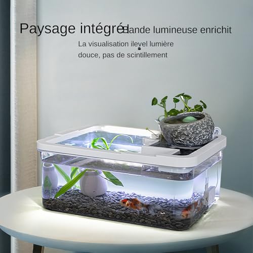 Décoration de table basse avec aquarium connecté USB pour bureau zen - 3
