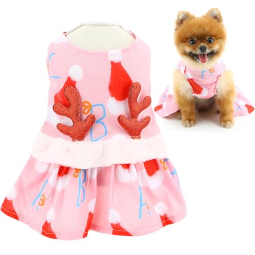 SMALLLEE_LUCKY_STORE   NX}X s[X ybg XJ[g   giJC̊pt ̕ Lk EFA[ q  ` L pRX`[  U oCS