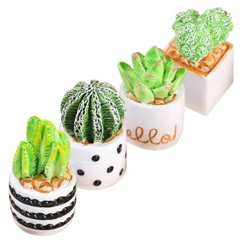 SKISUNO 4 ~jT{eu_ ~j`AAtBMA }CNhXP[vA CeAfXNgbv  It