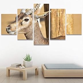 SIGNWIN 5 Panel Canvas Wall Art Animals Deer...