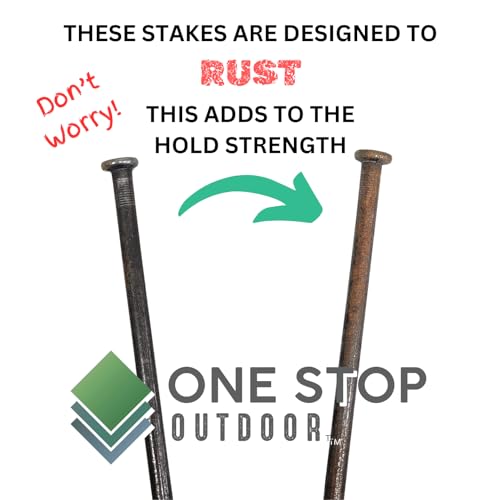 One Stop Outdoor (25-Pack) - Round Metal Landscape & Paver Edging Anchoring Stake, 12-Inch Length - Bright Spike Timber Nail, Tent Spikes, Camping, Trapping, Landscape, More (25-Pack)