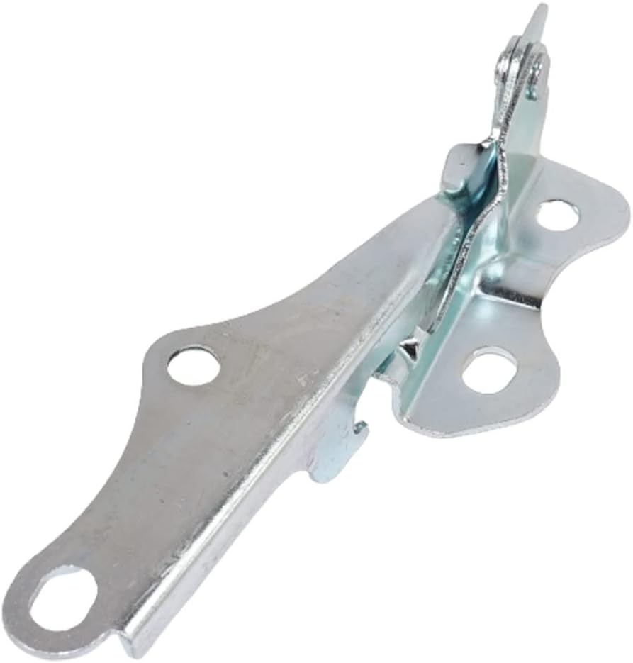 for Toyota Sequoia Hood Hinge 2001 02 03 04 05 06 2007 Driver and Passenger Side | Pair | Replacement for TO1236137, TO1236138 | 534200C010, 534100C010
