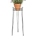 CobraCo Canterbury 30-Inch Black Scroll Top Plant Stand SCBPS1030-B