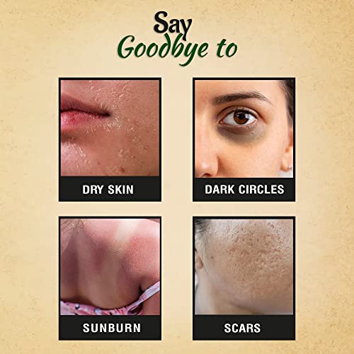 Image of Artesian Aloe Cucumber Skin Cream For Face | Hydrating, Moisturizing, Soothing Skin - 50 Gram