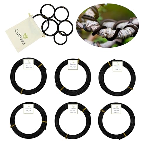 CULTIVEA Bonsai Wire Set of 6 aluminium wire rolls - 1 0mm/1 5mm/2 0mm/2 5mm/3 0mm/4 0mm - Anti-corrosion bonsai binding indoor gardening tools - bonsai plant tree
