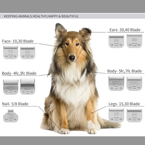 Image of Dog Grooming Blade kit,Compatible with Andis /Oster A5,Wahl KM10
