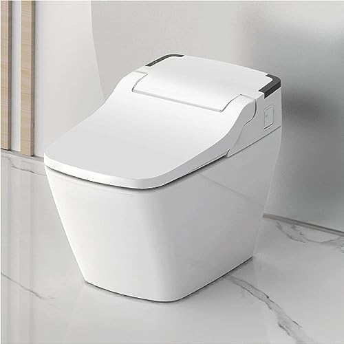 Inodoro Bidet Vovo con toma a Pared Inodoro Bidet Vovo con toma a Pared