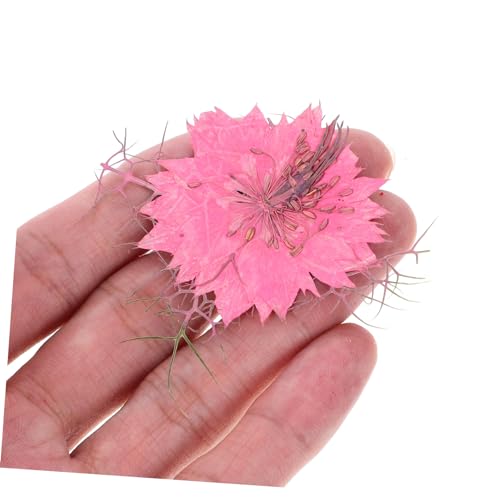 30 flores secas artesanales para decoración DIY miniatura 5