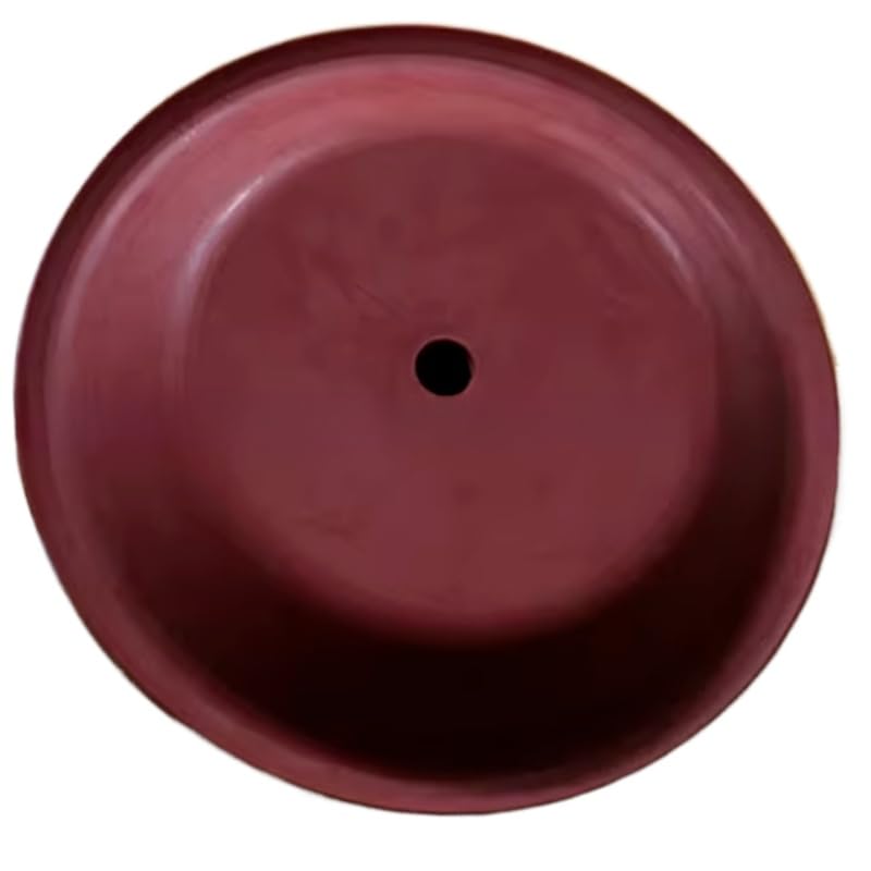 1pc New 286-005-356 2” S20 Air Pump Diaphragm Plate