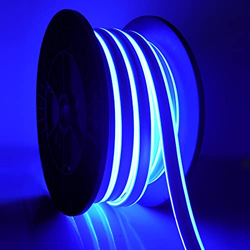 LED Neon Rope Lights Outdoor Waterproof ,Flexible 110V LED Strip Lights Blue Neon Lights Connectable Flexible LED Lights Strip Indoor Outdoor Decor DIY Commercial Building Use,Outside Rope Lights