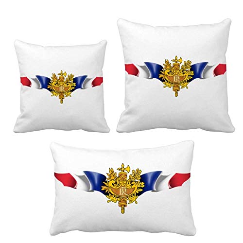 Parure de coussin drapeau de la France DIYthinker
