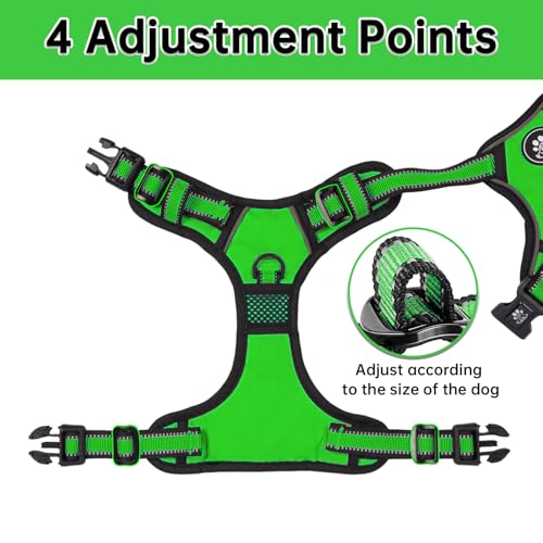 NESTROAD Hundegeschirr Kleine Hunde Grün, Anti Zug Geschirr Gepolstert Brustgeschirr für Kleine Hunde, Größe S Halsumfang 28~38CM Brustumfang 38~53CM, Reflexstreifen Brustgeschirr Hund