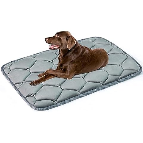 Geegoos Tapis Doux pour Chien Cover