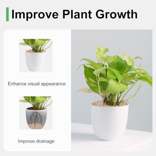 Image of 5 lbs Coarse Sand for Plants, 1 /5 Inch Horticultural Sand for Succulents, Desert Silica Sand for Cactus, Vases, Aquariums, Terrarium, Fish Tank, Drainage Gravel for Potted Plants, Bamboo, Crafts