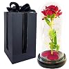 Valentines Gift for Her, Beauty and The Beast Rose for Women , Red Silk Forever Rose Dome Glass with LED Lights Base, Unique Gift Girlfriend Wife Mother’s Day Anniversary Birthday Wedding Decorations