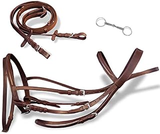 WWHZ Flash Bridle with Reins and Bit Leather Brown Pony