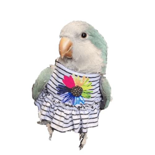 Parrot Bird Supplies,Light Flying Clothes,Summer Dress Skirt With Colorful Flower,Comfortable And Suitable For Tiger Skin,Green Cheek Parrot,Little Sun Parrot, Monk Parrot, Lovebird,etc. (Medium)