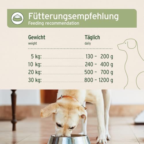 AniForte Hundefutter Nass Pferd Pur 6 x 800g - Naturprodukt für Hunde, Fleisch pur Nassfutter, getreidefrei & glutenfrei, Single Protein Futter