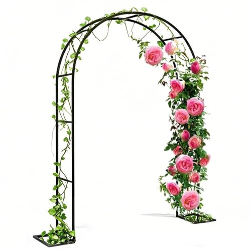 Arche de mariage en fer noir pour décoration de fête extérieure