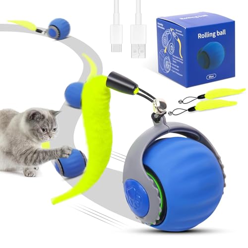 Jouet pour Chat, Jouet Balle Interactif pour Chat, Jouet Chats Intérieur, avec Queue Duveteuse, Balle Roulante Automatique pour Chats, Charg (Bleu-1pcs)