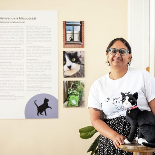Page de couverture de Montreal’s first ever cat museum!
