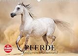 Autor(in): Elisabeth Stanzer Pferde. Araber im Wüstensand (Wandkalender 2022 DIN A3 quer)