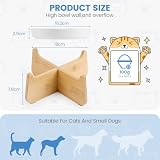 IDOGCHEW Keramik Anti Schling Napf Katze Erhöht, Schlingnapf Katze Nassfutter - Slow Feeder, rutschfest, Einfach zu Reinigen, Antischlingnapf für Katzen und Kleine Hunde, Weiss