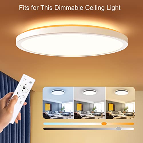 Blnan Remote Control, Dimmable Led Flush Mount Ceiling Light Fixture's Remote Control #TOP3