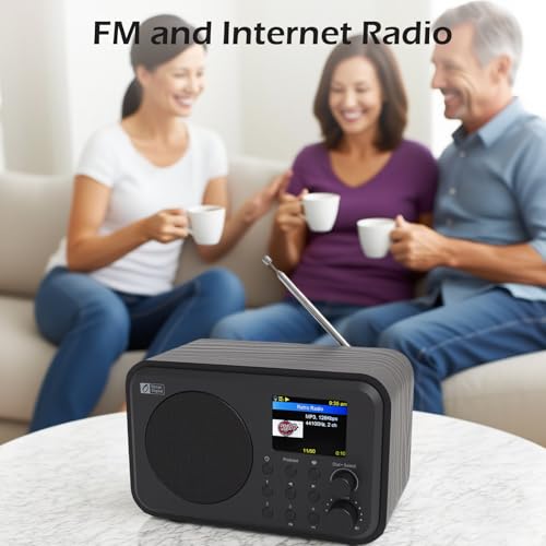 Image of Ocean Digital WR-336M Wi-Fi Internet FM Radio, Bluetooth Speaker, Podcast, 2.4 inch Color Display, USB Playback, Dual Alarm Clock, Sleep Timer, Dimmer, Black