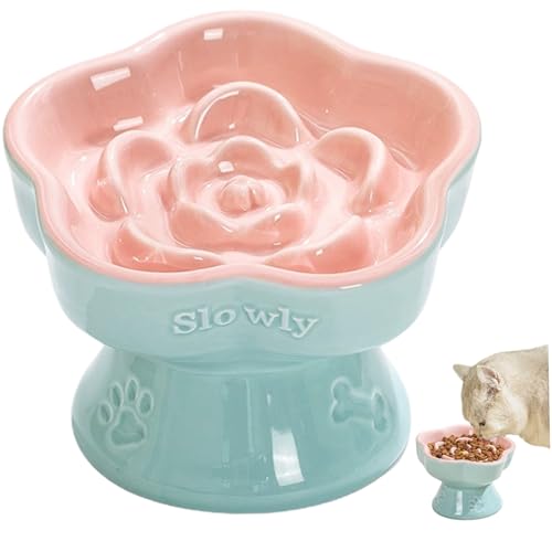 Gamelle pour chat inclinée et surélevée en céramique anti-glouton