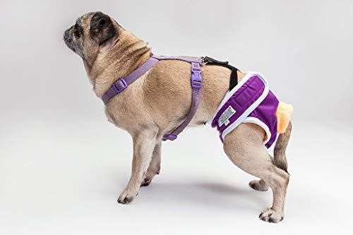 Dog Diaper And Belly Band Stretchable Straps | Dog Diaper Suspenders | Hold Dog Diapers And Belly Bands In Place | No Sliding Off(14.5" Length) #TOP2