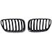 PENSUN Front Kidney Grille Grill Fit for 2004 2005 2006 BMW E53 X5 3.0i 4.4i 4.8is Sport Utility 4 Door, Front Bumper Matte Black 2 Pcs