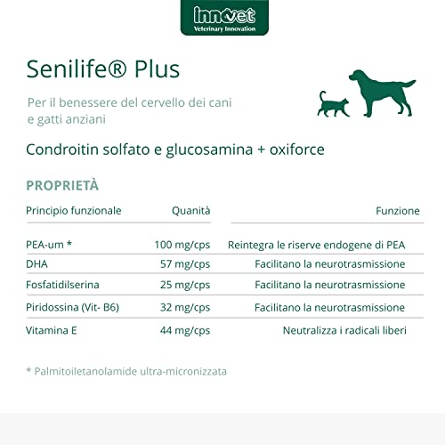 Senilife® Plus, per il Benessere del Cervello dei