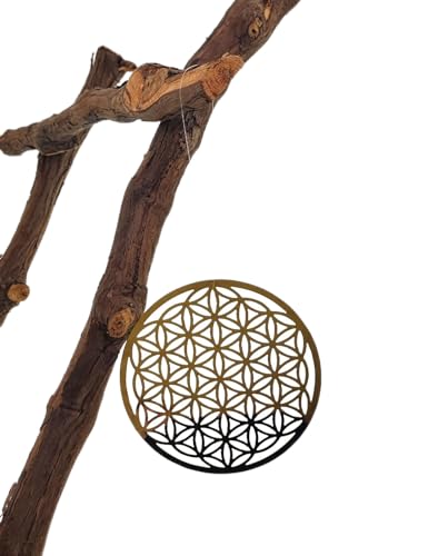 MC-Trend 1 Metal Flower of Life Hanger Yoga Meditation Suncatcher Chakra Decoration Home DIY Craft Dream Catcher Spiritual (Pack of 1) MC-Trend 1 Metal Flower of Life Hanger Yoga Meditation Suncatcher Chakra Decoration Home DIY Craft Dream Catcher Spiritual (Pack of 1)