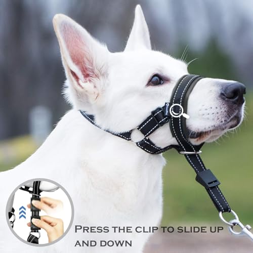 HhBdy Halti für Große Hunde, Hundehalfter Verstellbar Maulschlaufe Hund mit Gepolstertem Stoff, Anti Zieh Geschirr für Hunde Schwarz für Tägliche Spaziergänge Fellpflege und Krallenschneiden (L)