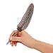 JIAHG Vintage Dip Pen Set, Calligraphy Pen with 5 Replacement Nibs, Handmade Quill Feather Pen for Writing, Drawing, Ideal Gifts for Special Occasions