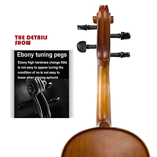 Aliyes Solid Wood Violin Designed For Beginners/Students With Hard Case Bow Rosin (4/4/Full-Size) #TOP4
