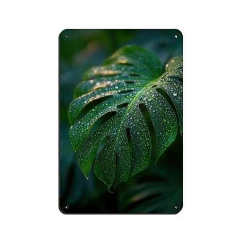 Poster en métal Monstera déco murale durable pour mur vide