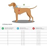 HUNTER Hunde-Regenmantel UPPSALA RAIN, Farbe: schwarz, wind- & wasserfest, anpassbarer Bauchgurt, reflektierend, elastische Beinschlaufen, kompakt verstaubar, leicht zu reinigen, waschbar, Größe: 55