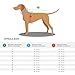 HUNTER Hunde-Regenmantel UPPSALA RAIN, Farbe: schwarz, wind- & wasserfest, anpassbarer Bauchgurt, reflektierend, elastische Beinschlaufen, kompakt verstaubar, leicht zu reinigen, waschbar, Größe: 55