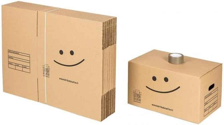 20 cartons standard avec 1 adhésif gratuit : Amazon.fr: Fournitures de